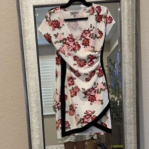 Crave Fame Red and Pink Floral Mini Dress